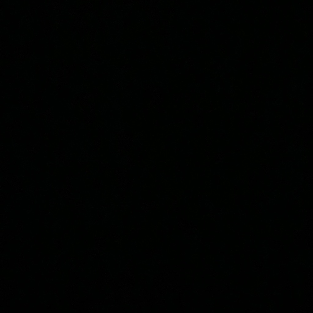 Meet your Posher, Alisha